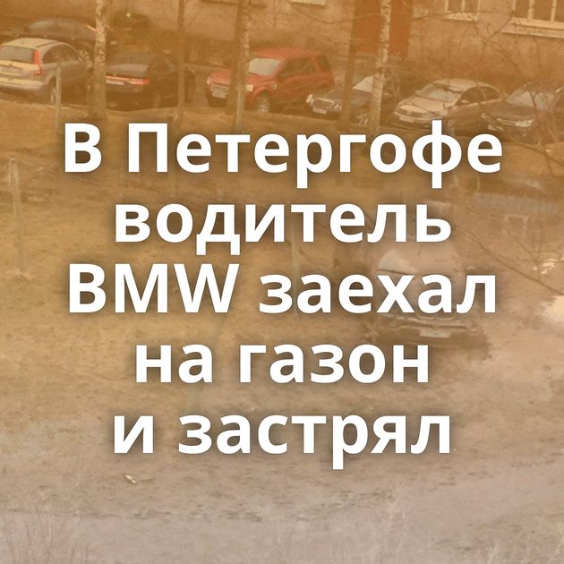 В Петергофе водитель BMW заехал на газон и застрял