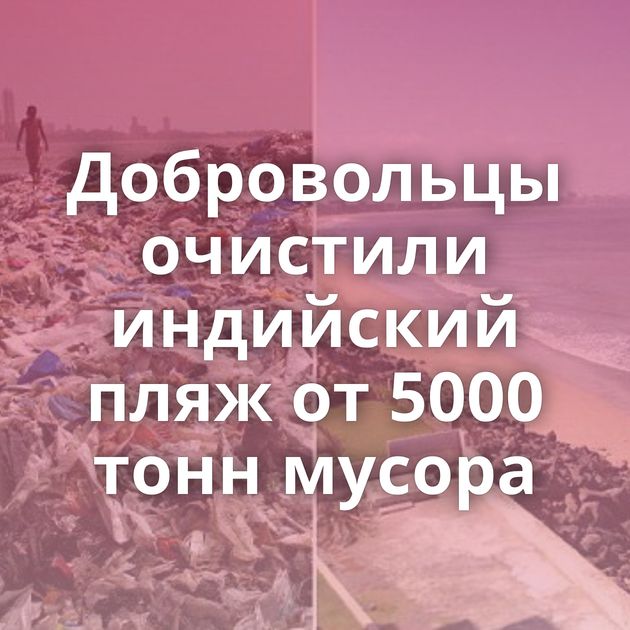 Добровольцы очистили индийский пляж от 5000 тонн мусора