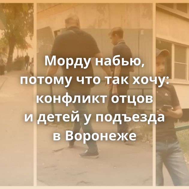 Морду набью, потому что так хочу: конфликт отцов и детей у подъезда в Воронеже