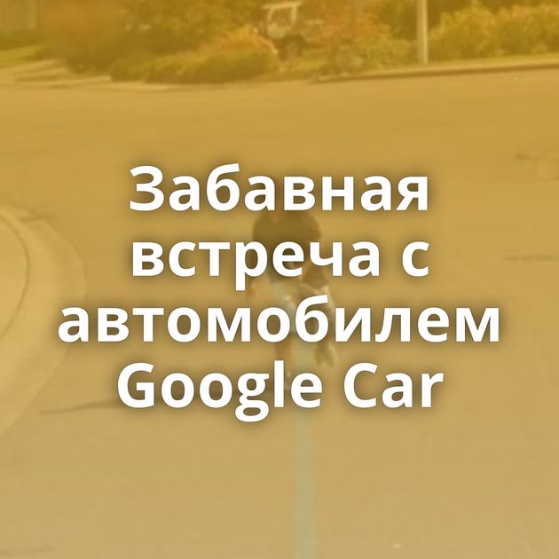 Забавная встреча с автомобилем Google Car
