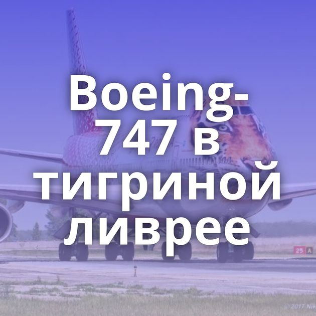 Boeing-747 в тигриной ливрее