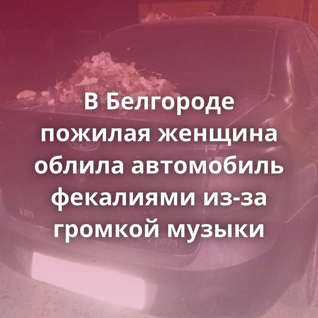 В Белгороде пожилая женщина облила автомобиль фекалиями из-за громкой музыки