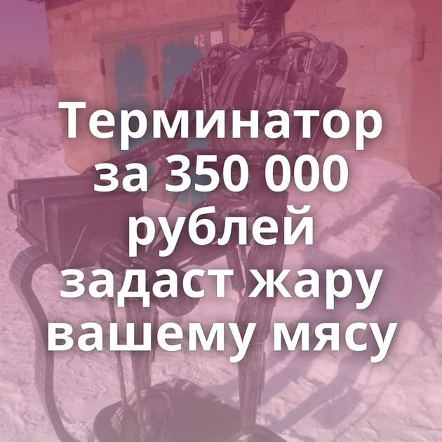 Терминатор за 350 000 рублей задаст жару вашему мясу