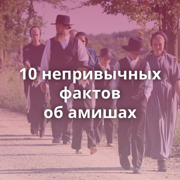 10 непривычных фактов об амишах