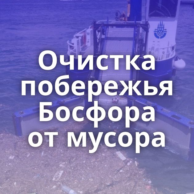 Очистка побережья Босфора от мусора