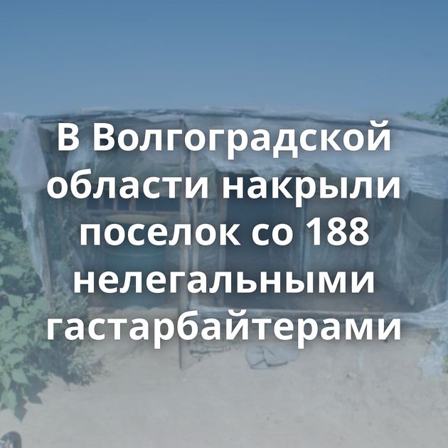 В Волгоградской области накрыли поселок со 188 нелегальными гастарбайтерами