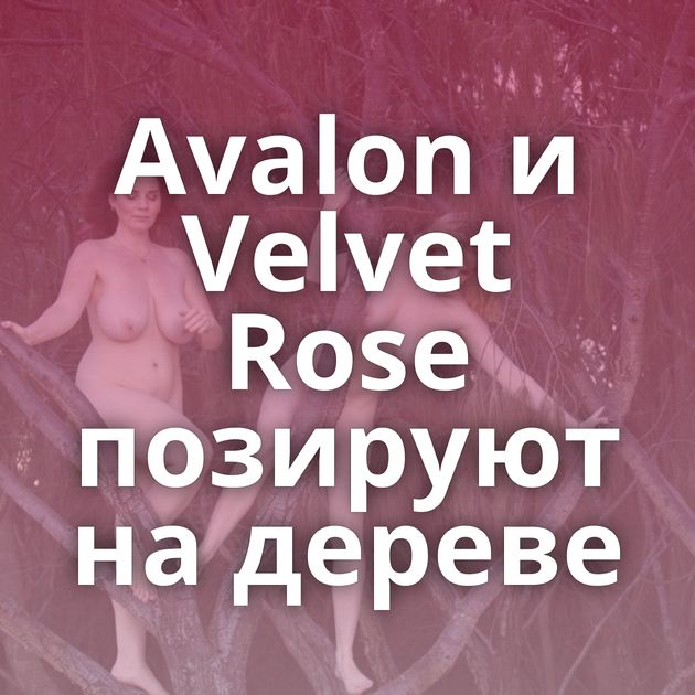 Avalon и Velvet Rose позируют на дереве