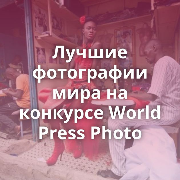 Лучшие фотографии мира на конкурсе World Press Photo