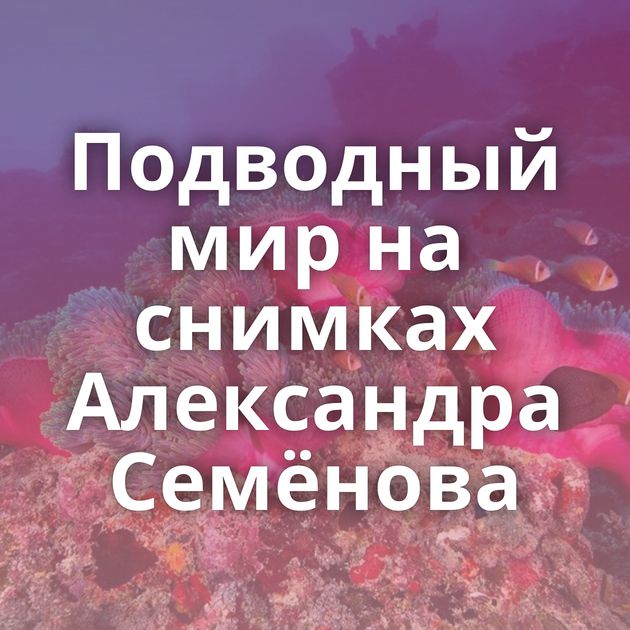 Подводный мир на снимках Александра Семёнова