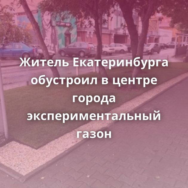 Житель Екатеринбурга обустроил в центре города экспериментальный газон
