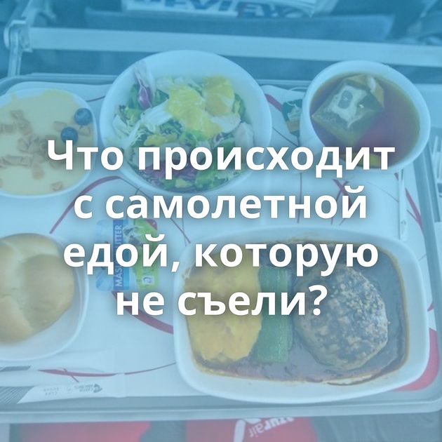 Что происходит с самолетной едой, которую не съели?