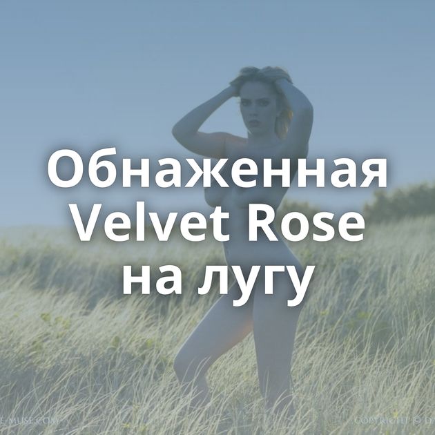 Обнаженная Velvet Rose на лугу