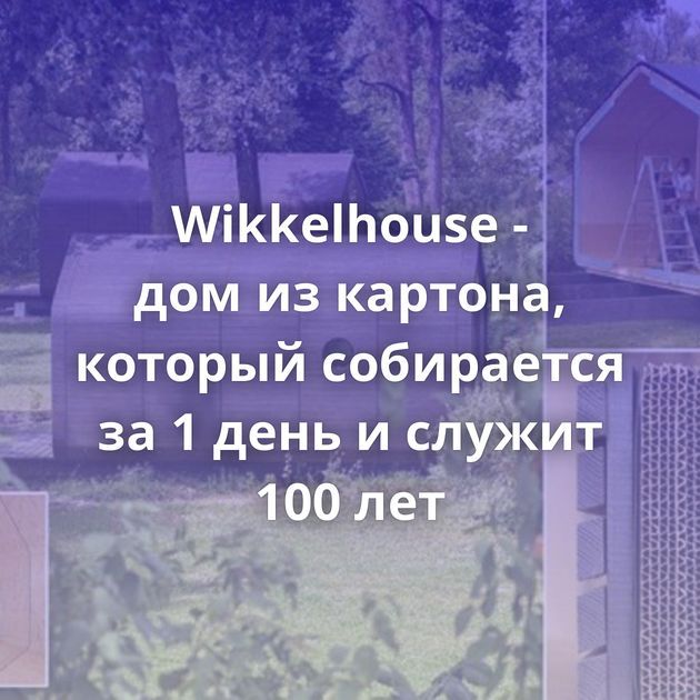 Wikkelhouse - дом из картона, который собирается за 1 день и служит 100 лет