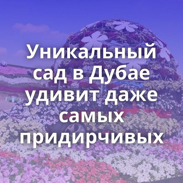 Уникальный сад в Дубае удивит даже самых придирчивых