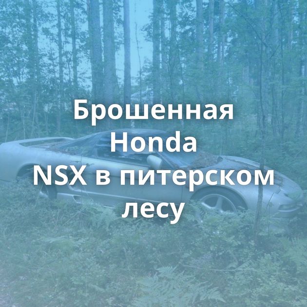 Брошенная Honda NSX в питерском лесу