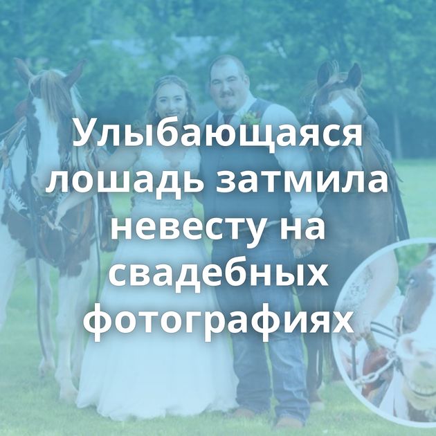 Улыбающаяся лошадь затмила невесту на свадебных фотографиях