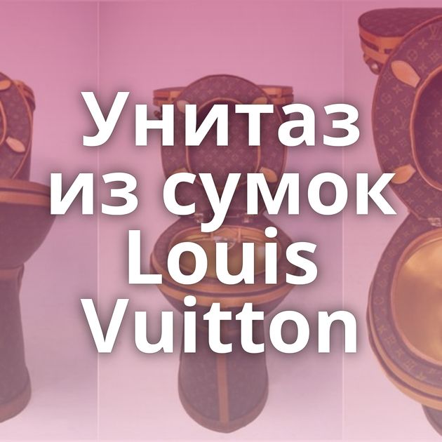 Унитаз из сумок Louis Vuitton