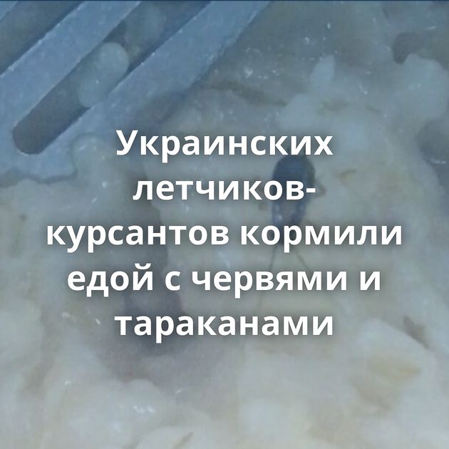 Украинских летчиков-курсантов кормили едой с червями и тараканами