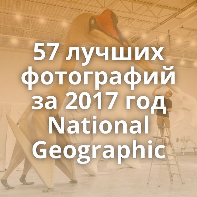 57 лучших фотографий за 2017 год National Geographic