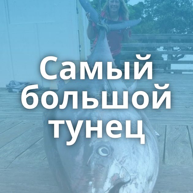 Самый большой тунец