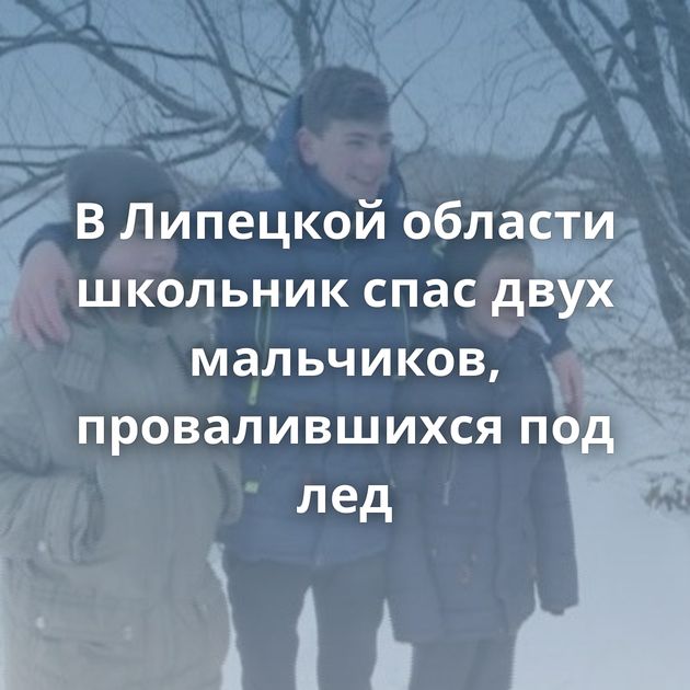 В Липецкой области школьник спас двух мальчиков, провалившихся под лед