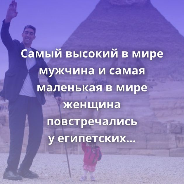 Самый высокий в мире мужчина и самая маленькая в мире женщина повстречались у египетских пирамид