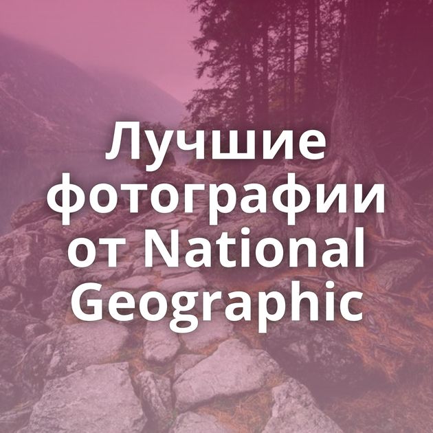 Лучшие фотографии от National Geographic