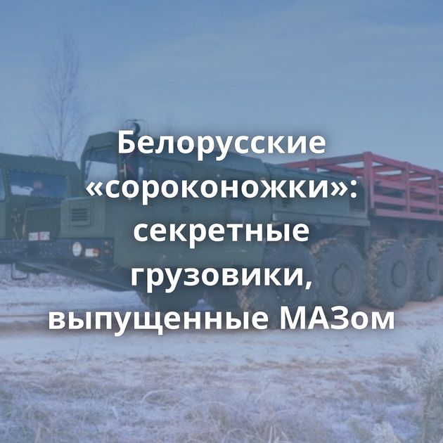Белорусские «сороконожки»: секретные грузовики, выпущенные МАЗом
