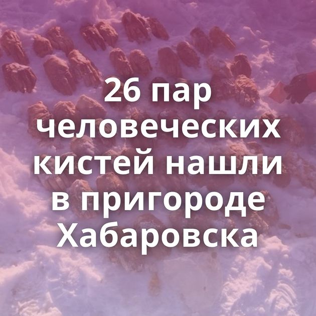 26 пар человеческих кистей нашли в пригороде Хабаровска