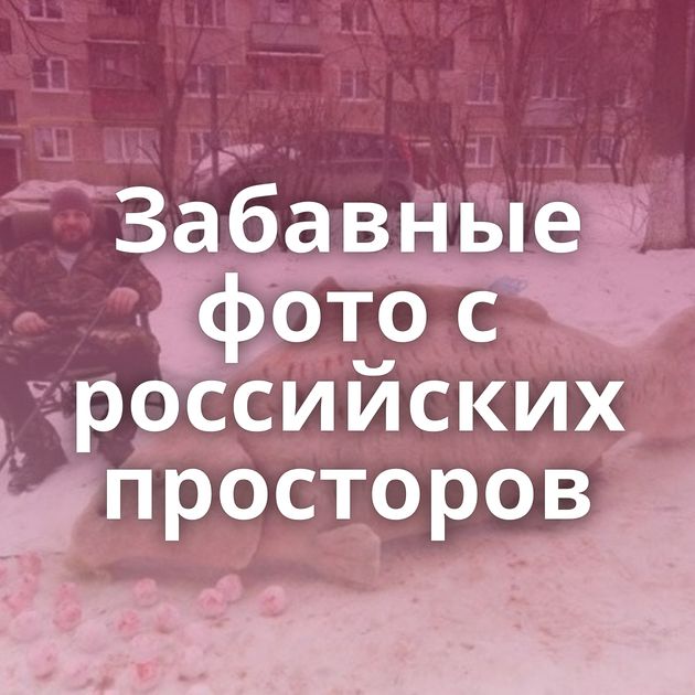 Забавные фото с российских просторов