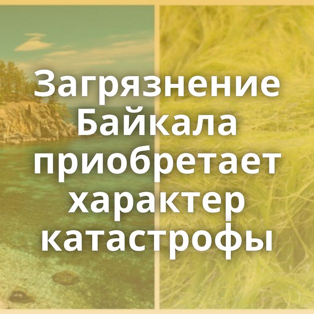Загрязнение Байкала приобретает характер катастрофы