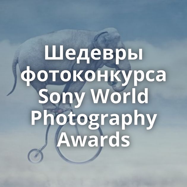 Шедевры фотоконкурса Sony World Photography Awards