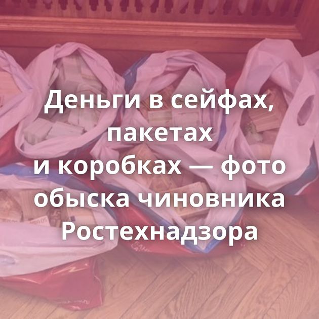 Деньги в сейфах, пакетах и коробках — фото обыска чиновника Ростехнадзора