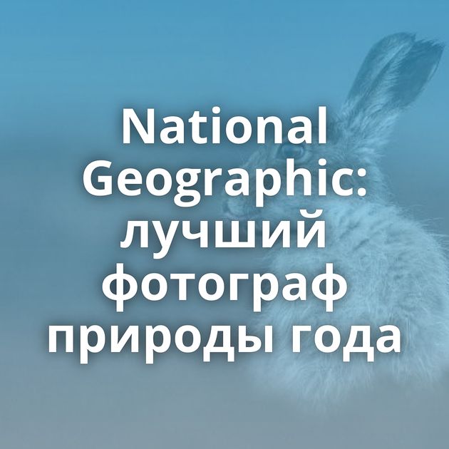 National Geographic: лучший фотограф природы года