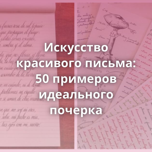 Искусство красивого письма: 50 примеров идеального почерка