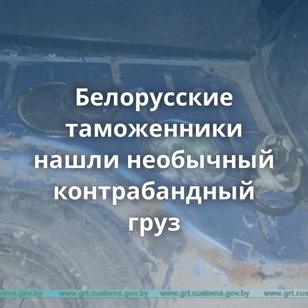 Белорусские таможенники нашли необычный контрабандный груз