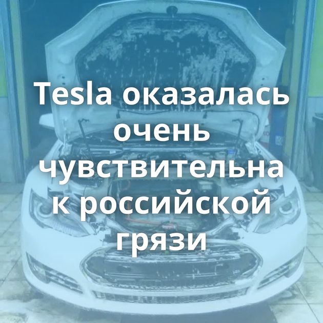 Tesla оказалась очень чувствительна к российской грязи