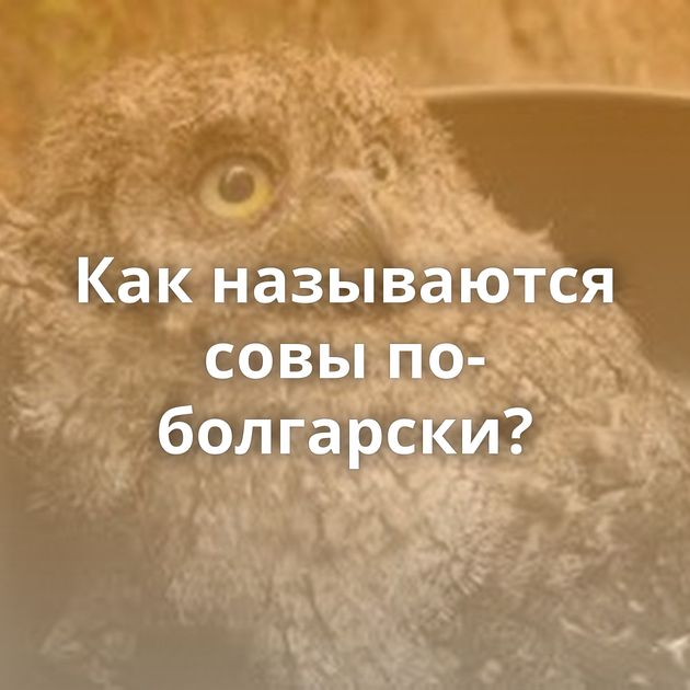 Как называются совы по-болгарски?
