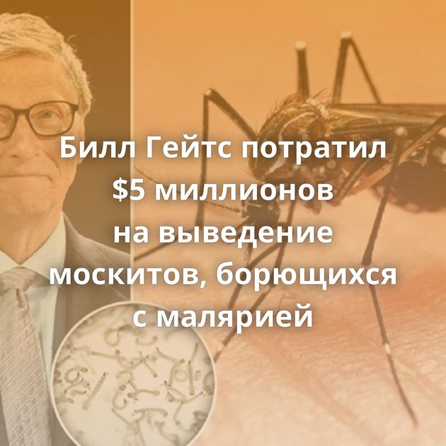 Билл Гейтс потратил $5 миллионов на выведение москитов, борющихся с малярией