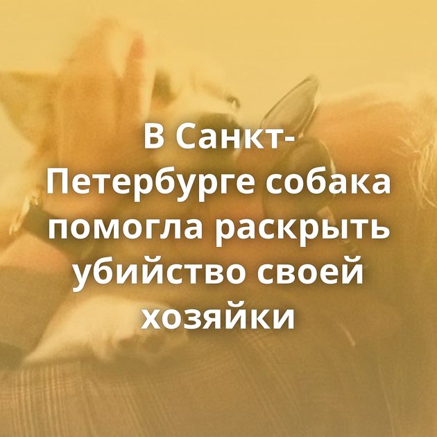 В Санкт-Петербурге собака помогла раскрыть убийство своей хозяйки