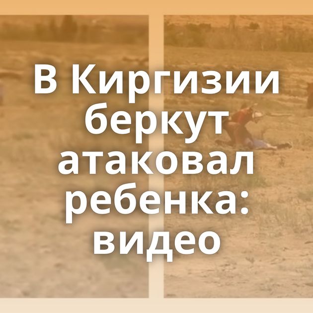 В Киргизии беркут атаковал ребенка: видео