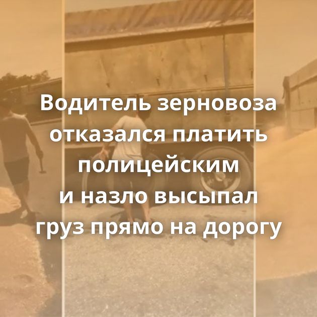 Водитель зерновоза отказался платить полицейским и назло высыпал груз прямо на дорогу
