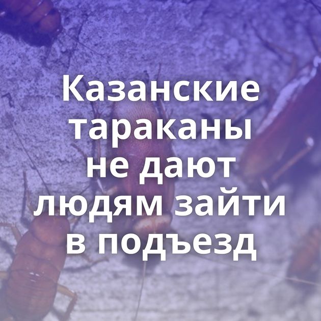 Казанские тараканы не дают людям зайти в подъезд