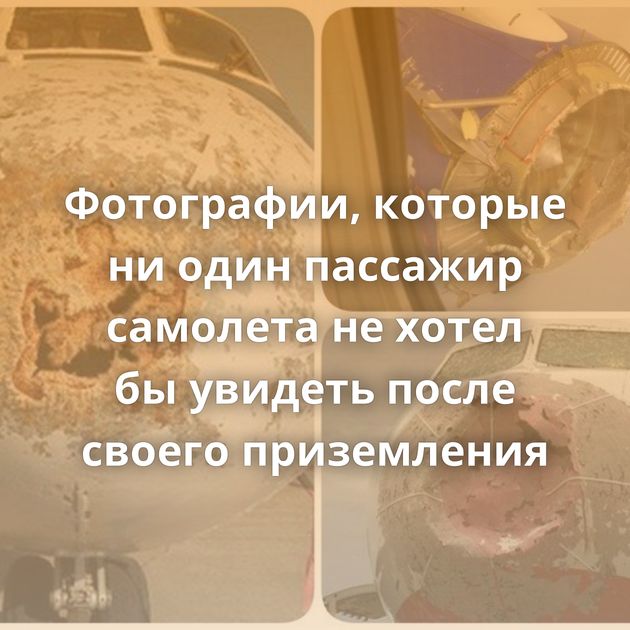 Фотографии, которые ни один пассажир самолета не хотел бы увидеть после своего приземления