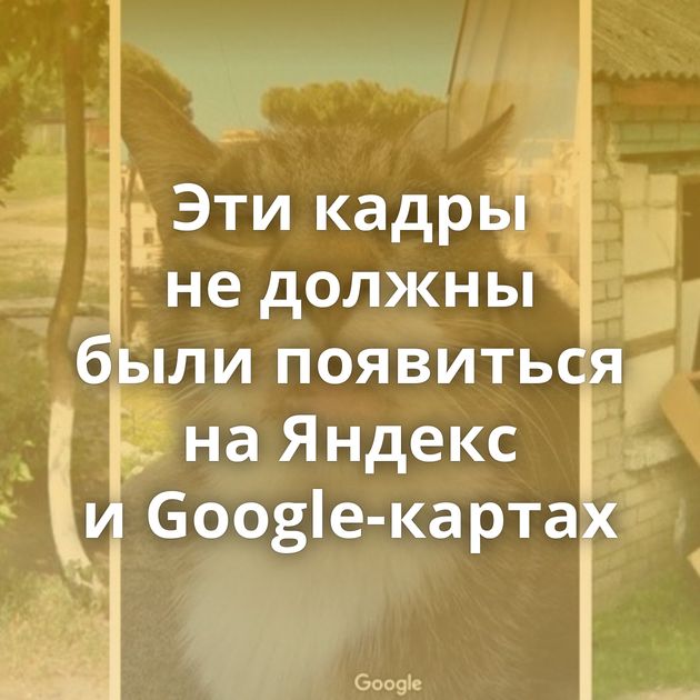Эти кадры не должны были появиться на Яндекс и Google-картах