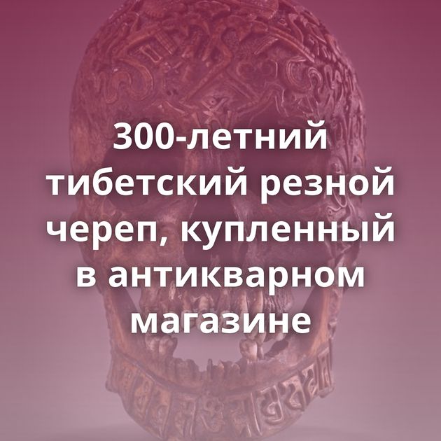 300-летний тибетский резной череп, купленный в антикварном магазине
