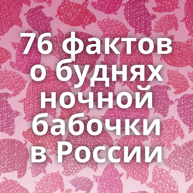 76 фактов о буднях ночной бабочки в России