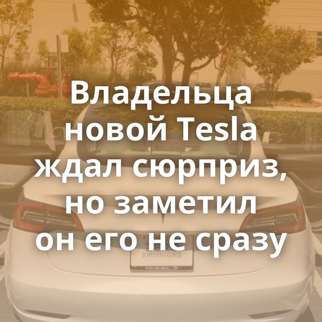 Владельца новой Tesla ждал сюрприз, но заметил он его не сразу