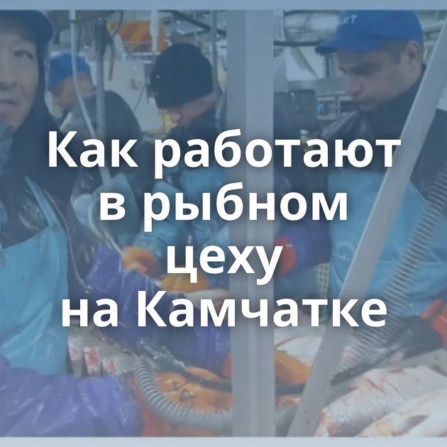 Как работают в рыбном цеху на Камчатке
