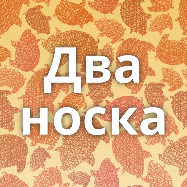 Два носка